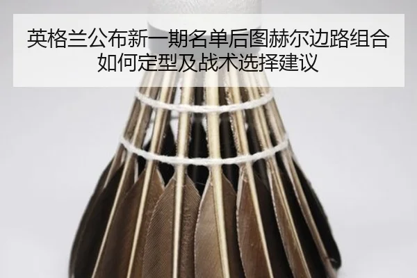 ying-ge-lan-gong-bu-xin-yi-qi-ming-dan-hou-tu-he-er-bian-lu-zu-he-ru-he-ding-xing-ji-zhan-shu-xuan-ze-jian-yi-2-746.jpg